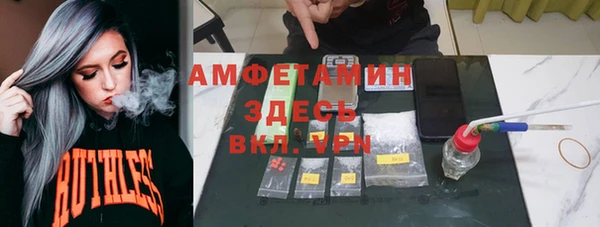 прущие грибы Балахна