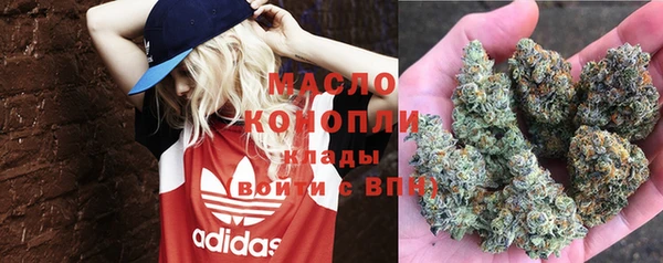 прущие грибы Балахна