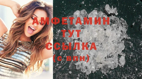 прущие грибы Балахна
