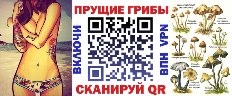 Псилоцибиновые грибы мицелий Куртамыш